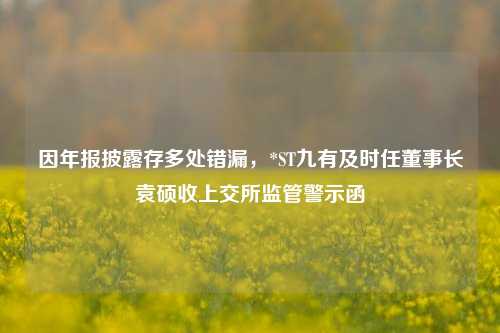 因年报披露存多处错漏，*ST九有及时任董事长袁硕收上交所监管警示函  第1张