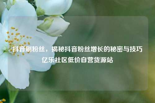抖音刷粉丝，揭秘抖音粉丝增长的秘密与技巧亿乐社区低价自营货源站  第1张