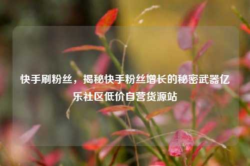 快手刷粉丝，揭秘快手粉丝增长的秘密武器亿乐社区低价自营货源站  第1张