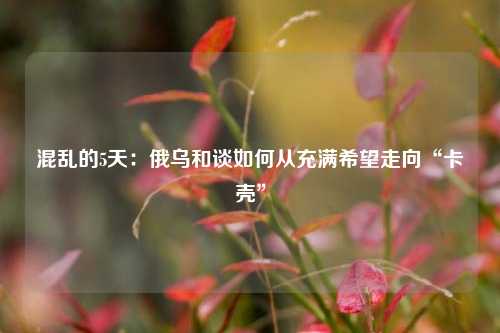 混乱的5天：俄乌和谈如何从充满希望走向“卡壳”  第1张