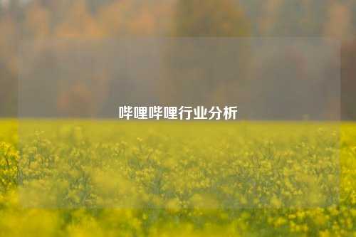 哔哩哔哩行业分析  第1张 哔哩哔哩行业分析  第1张