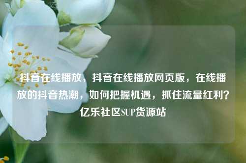 抖音在线播放	，抖音在线播放网页版，在线播放的抖音热潮，如何把握机遇	，抓住流量红利？亿乐社区SUP货源站  第1张