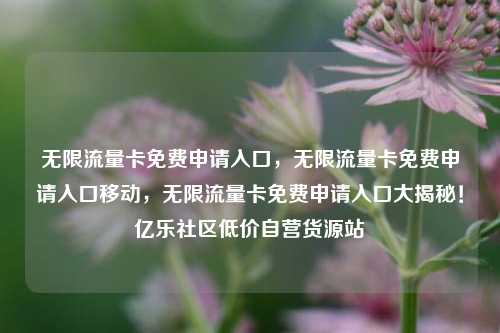 无限流量卡免费申请入口，无限流量卡免费申请入口移动，无限流量卡免费申请入口大揭秘！亿乐社区低价自营货源站  第1张