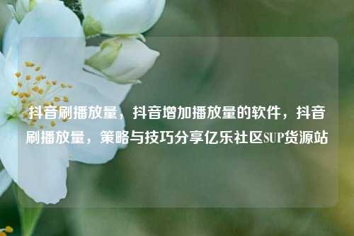抖音刷播放量，抖音增加播放量的软件	，抖音刷播放量，策略与技巧分享亿乐社区SUP货源站  第1张