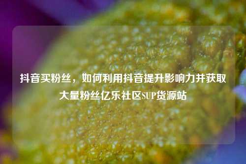 抖音买粉丝	，如何利用抖音提升影响力并获取大量粉丝亿乐社区SUP货源站  第1张