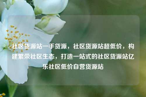 社区货源站一手货源	，社区货源站超低价，构建繁荣社区生态，打造一站式的社区货源站亿乐社区低价自营货源站  第1张