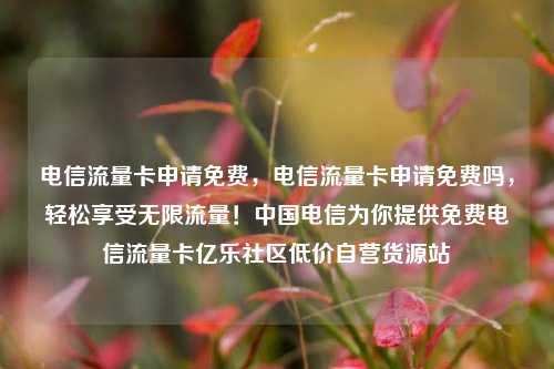 电信流量卡申请免费，电信流量卡申请免费吗	，轻松享受无限流量！中国电信为你提供免费电信流量卡亿乐社区低价自营货源站  第1张