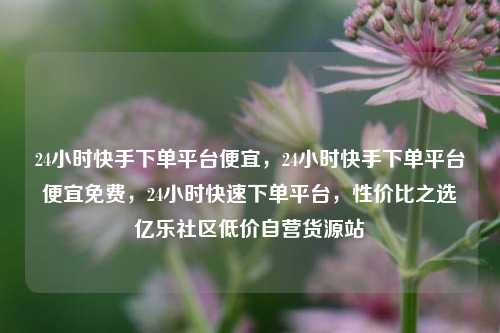 24小时快手下单平台便宜，24小时快手下单平台便宜免费	，24小时快速下单平台，性价比之选亿乐社区低价自营货源站  第1张