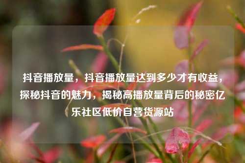抖音播放量，抖音播放量达到多少才有收益，探秘抖音的魅力，揭秘高播放量背后的秘密亿乐社区低价自营货源站  第1张