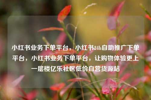 小红书业务下单平台	，小红书24h自助推广下单平台，小红书业务下单平台，让购物体验更上一层楼亿乐社区低价自营货源站  第1张