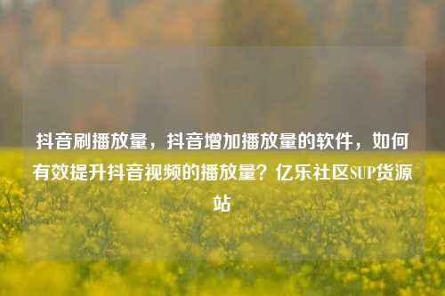 抖音刷播放量	，抖音增加播放量的软件，如何有效提升抖音视频的播放量？亿乐社区SUP货源站  第1张