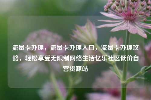 流量卡办理，流量卡办理入口	，流量卡办理攻略，轻松享受无限制网络生活亿乐社区低价自营货源站  第1张