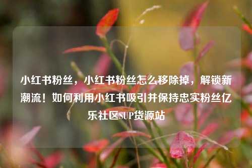 小红书粉丝，小红书粉丝怎么移除掉，解锁新潮流！如何利用小红书吸引并保持忠实粉丝亿乐社区SUP货源站  第1张