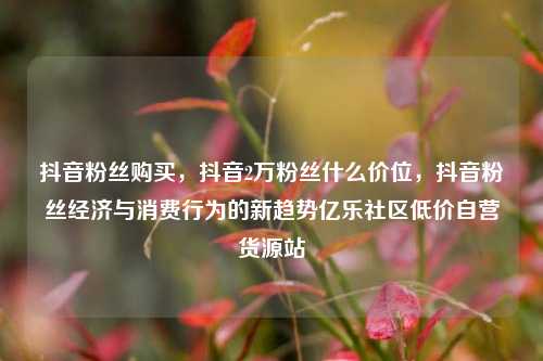 抖音粉丝购买，抖音2万粉丝什么价位，抖音粉丝经济与消费行为的新趋势亿乐社区低价自营货源站  第1张