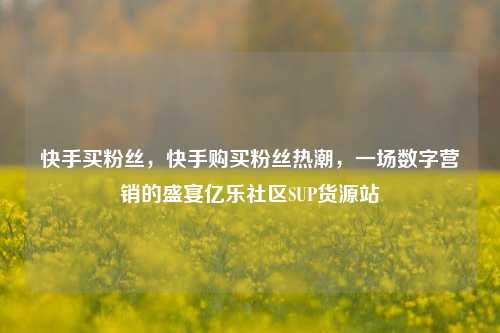 快手买粉丝，快手购买粉丝热潮	，一场数字营销的盛宴亿乐社区SUP货源站  第1张