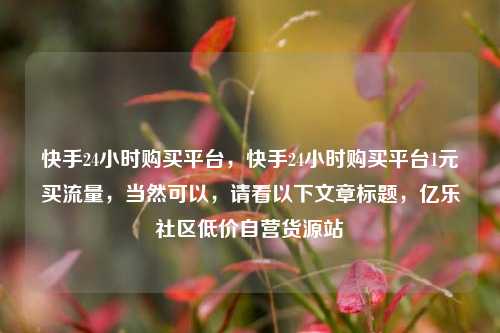 快手24小时购买平台	，快手24小时购买平台1元买流量，当然可以，请看以下文章标题	，亿乐社区低价自营货源站  第1张