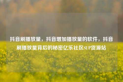 抖音刷播放量，抖音增加播放量的软件	，抖音刷播放量背后的秘密亿乐社区SUP货源站  第1张