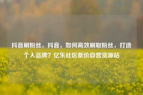 抖音刷粉丝，抖音，如何高效刷取粉丝	，打造个人品牌？亿乐社区低价自营货源站  第1张