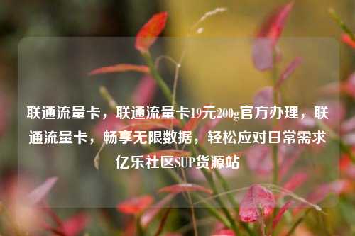 联通流量卡，联通流量卡19元200g官方办理，联通流量卡	，畅享无限数据，轻松应对日常需求亿乐社区SUP货源站  第1张