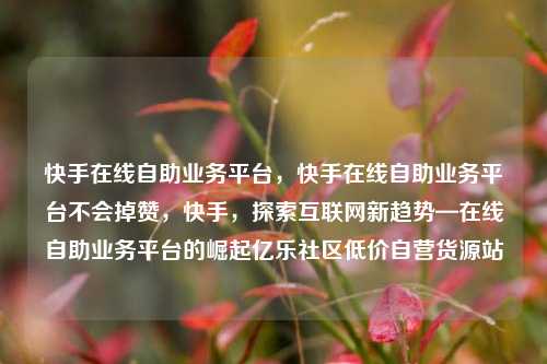 快手在线自助业务平台，快手在线自助业务平台不会掉赞，快手	，探索互联网新趋势—在线自助业务平台的崛起亿乐社区低价自营货源站  第1张