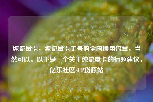 纯流量卡	，纯流量卡无号码全国通用流量，当然可以。以下是一个关于纯流量卡的标题建议，亿乐社区SUP货源站  第1张